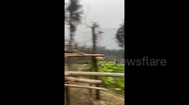 Dog Offers Comfort to Toddler After a Fall in Leshan, China