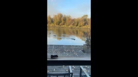 Raccoon river race: fierce competition ends with a daring victory