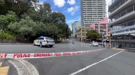 Alleged bomb scare forced closure of park and nearby buildings in Auckland New Zealand