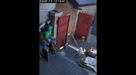 Stubborn cat squeezes through gaps of fence in China