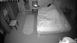 Surprise Awakening: Chinese Woman Discovers Her Cat Gave Birth in Her Bed