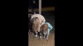 Frozen hair fun: a chilly experiment in below-freezing weather