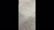 temp