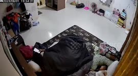 Pet cat attacks sleeping baby's head in bed with mum