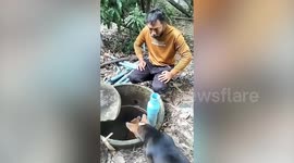 Dog extracted by kind couple from bottom of well