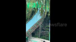 Slide into waters takes unexpected turn, friend's quick save prevents potential swim mishap