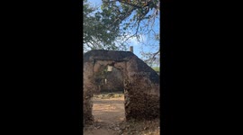 Exploring the beautiful boabab trees of the Takwa Ruins in Manda, Kenya.