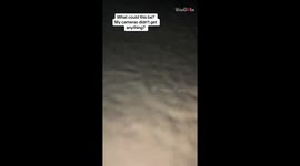Woman finds strange paw prints on snow in her front yard *Unbelievable happening*