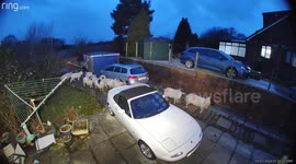 Hilarious video shows 12 sheep taking refuge from storm Jocelyn - in a back garden