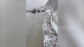 Herd of cows repeatedly slip down frozen slope