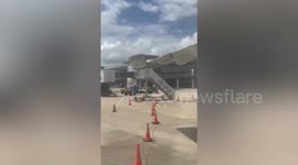 Bees swarm on plane wing causing delay at airport in Brazil