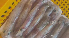 Packs of squid for sale still flashing with colour