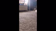 temp