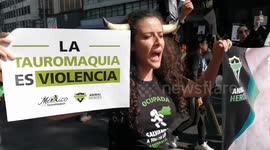 Bullfighting's Revival in Mexico City Met with Strong Opposition and Demonstrations