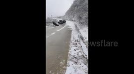 Cattle slip on ice as rare snow hits southern China's city after 21 years