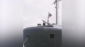 Sailor tries to drives away macaque perched on ship