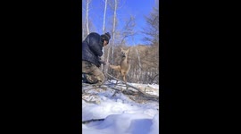 Heroic herder rescues trapped roe deer in northern China