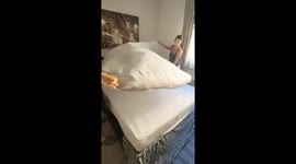 Resolute Camillo: the unyielding cat who holds his ground on the bed