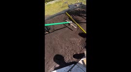 Dachshund dynamically delights in dirt digging delight!