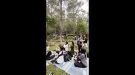 Unexpected encounter: dance group startled by curious monkey