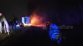 Police rescue camels, zebra and miniature horse from trailer fire