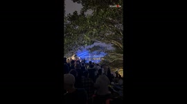 Man films rats on the tree branches while waiting for the New Year fireworks