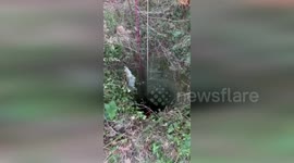 Dog rescued after falling down 16 metres into well in Italy