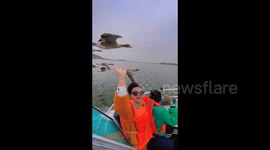 Tourists Cruise Alongside Graceful Geese in Linyi, China