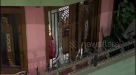 Leopard successfully ran away after being stranded in a bedroom for hours , now strays into city in Bihar’s Rohtas city