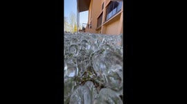 Man is treated to the strangely sensational visual of 'Frozen Grass'