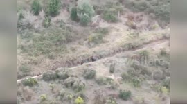 Man, 73, found after going missing from home in Valencia