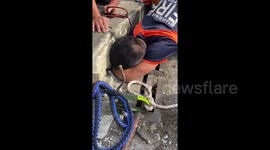 Heroic rescue: Furvent Animal Rescue team saves dog trapped in sewer for two weeks