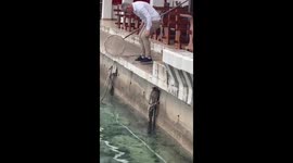 Determined local rescues scared kitten from dock using fishing net