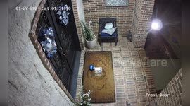 Opossum Caught Stealing Cookies in Southlake, TX, USA