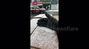 temp