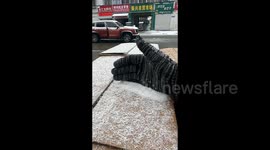 Rare MSG-shaped snowflakes captured in eastern China