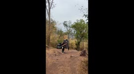 Local carries refrigerator, gas tank, and bags on his shoulder up a mountain