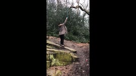 Curious doggo swings for embarrassment after watching hooman having fun