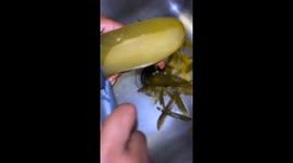 Green Apple and Hennessy Koolaid Pickles made by The owner of Pickled by PJ a Koolaid pickle company based out of Fort Worth Texas.