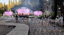 Chiang Mai's festival of flowers and early evening entertainment in the park.