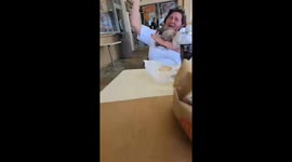 Hungry pigeon flies on to woman's arm and pecks down at her McDonald's burger