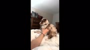 temp