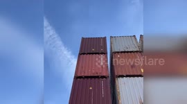 Coast Guard Inspectors Rescue Dog Trapped For a Week in Container in Houston, TX, USA