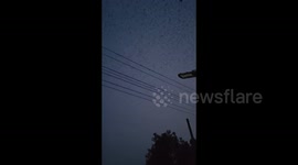 Multitude of Soaring Birds Appears in the Sky in Tongling, China