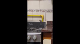 Rat Makes An Appearance