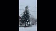 temp