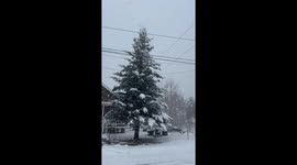 Southern California storm brings fresh snow to San Bernardino mountains