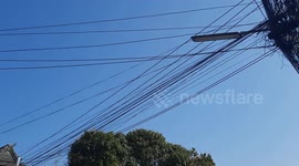 Air pollution from crop burning soars in northern Thailand