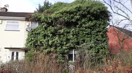 House swallowed by trees allowed to grow out of control for 40 years