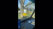 temp